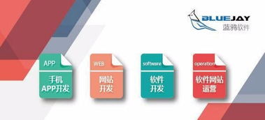 昆明軟件開(kāi)發(fā)與App開(kāi)發(fā) 專業(yè)技術(shù)驅(qū)動(dòng)的創(chuàng)新之道